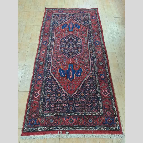 Full View of Elegant Handmade Persian Kurdish Runner